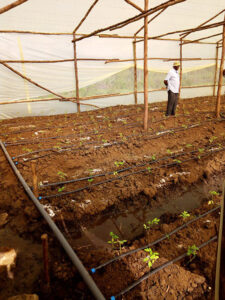 EWH-Agri-Business-4