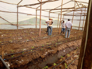 EWH-Agri-Business_2
